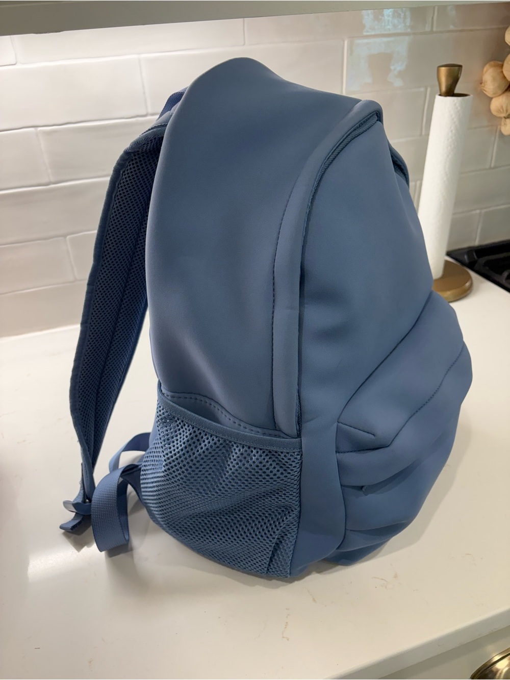 Fabletics Blue Everyday Backpack